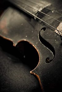 closeup of black violin
