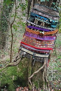 bright colorful textiles on trunk of mossy tree