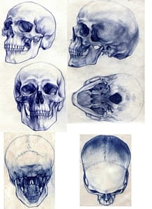 blue drawings of skulls at 6 angles