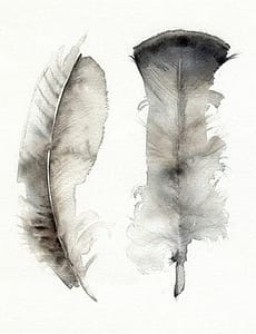 watercolor of 2 feathers