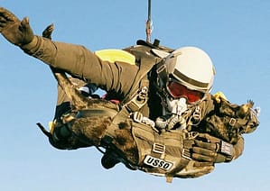 military parachutist with dog in chest harness