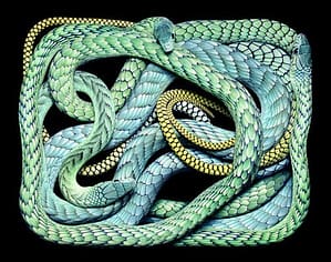blue snakes, by lesfourmis