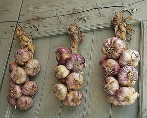 hanging strings of garlic