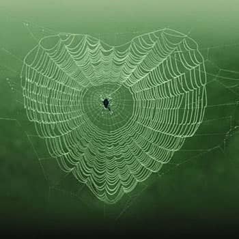 spiderweb heart against green bkg