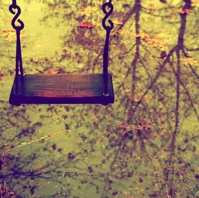 wood and iron swing over water with leaves