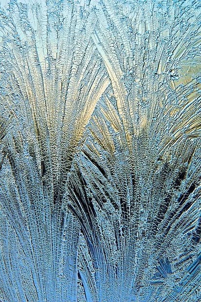 blue and gold fans of frost on glass