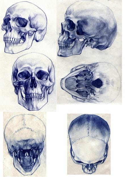 drawings of skulls by tobiee at deviantart