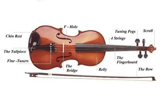 parts of the violin labeled